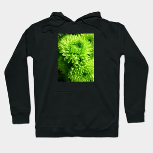 Green Chrysanthemums Hoodie